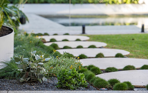 Lush Detail of backyard landscaping