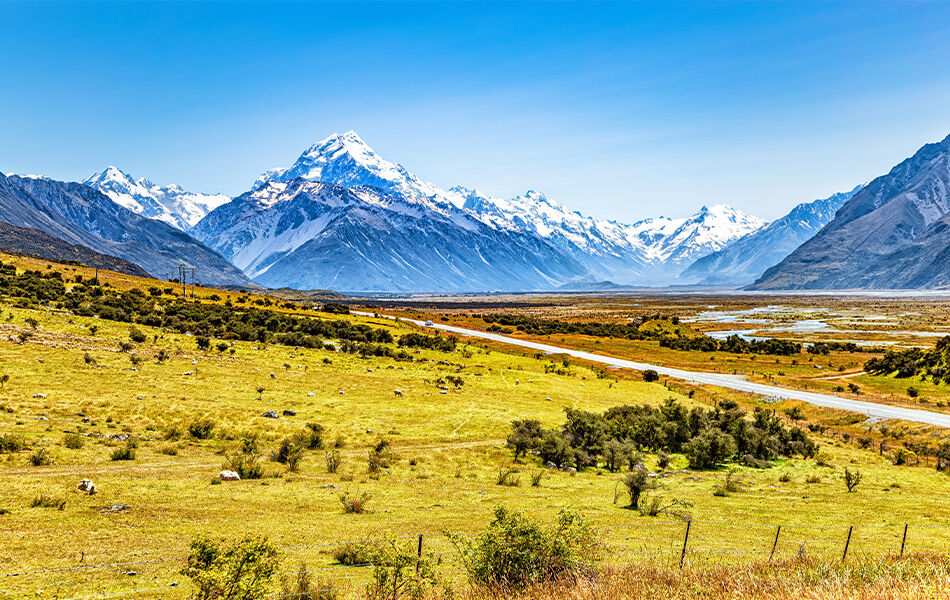 Landscpe New Zealand snowcapped mountains behind grassy fields on a bright sunny day